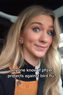 TikTok user shares footage of bird stuck inside plane during long haul flight