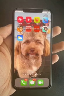 Man shares little-known iPhone hack users say will help people 'cheat'