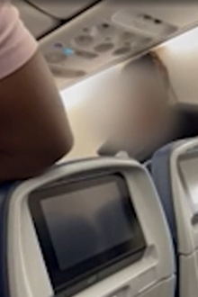 woman tantrum on plane dog on lap