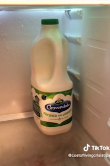 where to keep milk in fridge