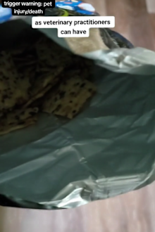 Vet warns viewers about dangers of plastic bags
