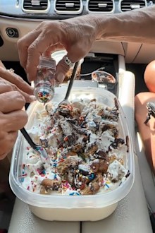 TikTokers Janelle & Kate share their McDonald's dessert hack.