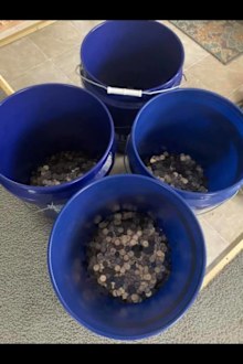 Brandi Lee paid her ex-husbands court fees in coins