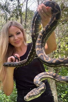 Courtenay Brown snake catcher