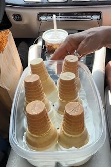 TikTokers Janelle & Kate share their McDonald's dessert hack.