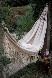 9PR: Darren Palmer backyard styling tips