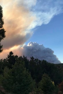 Smoke and fire heading toward lush forests.