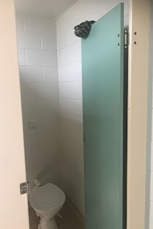 1.8m python found in school bathroom on Sunshine Coast 