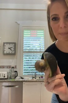Belinda Russell, avocado, kitchen hack