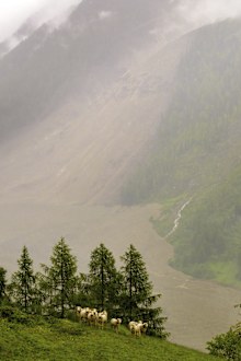 The alpine village was largely destroyed when the glacier collapsed.