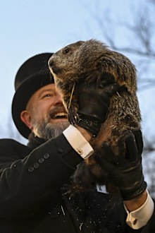 Groundhog Club handler A.J. Dereume holds Punxsutawney Phi