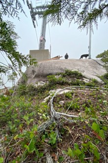 The gondola cable was cut early Monday morning, sending several cars crashing into the mountain