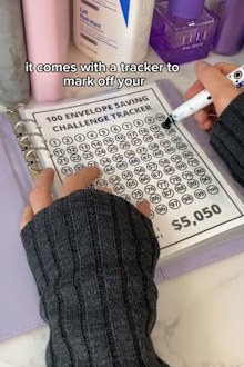 Milly used the 100 envelopes challenge to save $5,050.