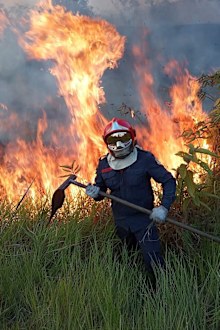 A handout picture made available by Rio Branco Firemen shows the fight against a fire in Rio Branco, Amazonian State of Acre, Brazil. 