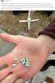 Worried locals had taken to social media to post images of the bait. 