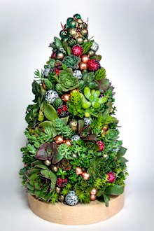 Christmas succulent tree