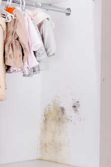 Persistent mold in wardrobe on wall and shelves. Hanging kids clothes  on the rack.