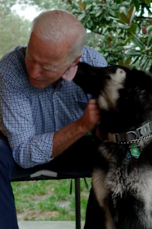 Joe and Jill Biden German Shepherd