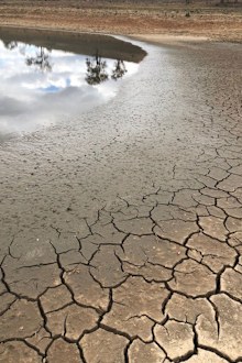 The World Meteorological Organisation has predicted a 70 percent chance of an El Niño event occurring before the end of the year.