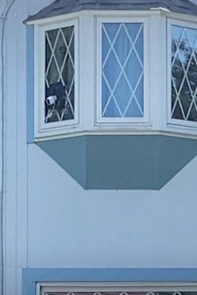 Neighbours feud woman's home