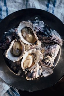 Oysters