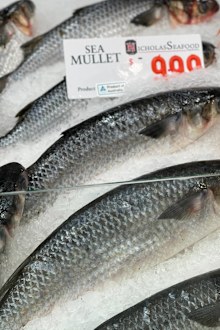 Sydney fish market