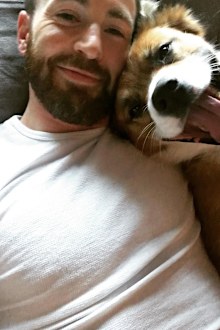 Chris Evans