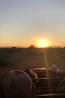 Madikwe Safari Lodge