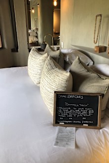 Madikwe Safari Lodge 