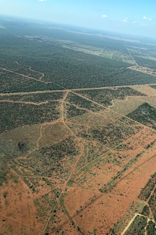 Madikwe Safari Lodge