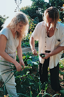 The Studd Siblings pick produce in a Bryan farm