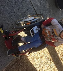Cobber can walk but uses a wheelchair the rest of the time.