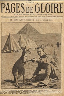 The paragraph at the bottom of the front page speaks of "troops coming from the great oceanian island" and "their favourite animal - their mascot - a young kangaroo."