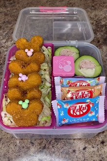 Liza Stian, lunches, TikTok