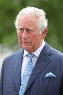 Prince Charles streamlined monarchy.