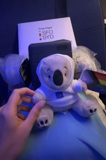 There was a cute addition to the usual amenities on the Pride Flight.