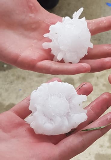 Large pieces of hail fell on Sydney yesterday afternoon. 