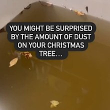 Tanja Bentley Ward washes her Christmas tree, this is the dirty water left behind