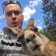 The user who posted the photo says the kangaroo made the funny face when he saw himself on the screen. (Reddit)