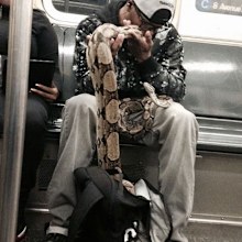 Mr Hertzog posted two pictures of the snake man on the subway. (Picture: Instagram)