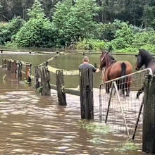 A farm in the Hunter Valley was inundated. 