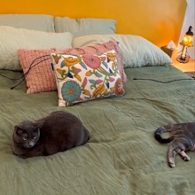 Angelina Murphy Skyler Johnson couple sleep on random sides of bed