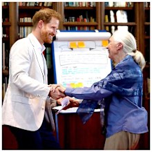 Prince Harry meets Dr Jane Goodall at Windsor Castle