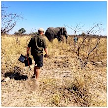 Prince Harry loses complaint against 'inaccurate' article over elephant photo