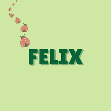 Felix