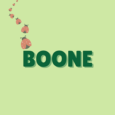 Boone