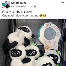 Kmart Buzz Lamby popularity