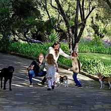 harry and meghan christmas card