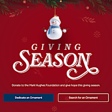 You can contribute to the virtual Christmas tree and help brain cancer research.