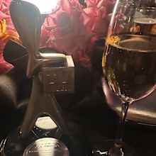 Jelena Dokic celebrates her 2025 Logies win